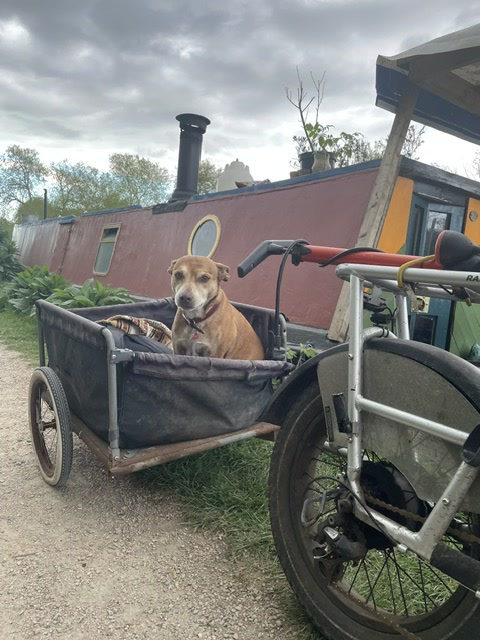 Boarding aboard the houseboat on the River Lee