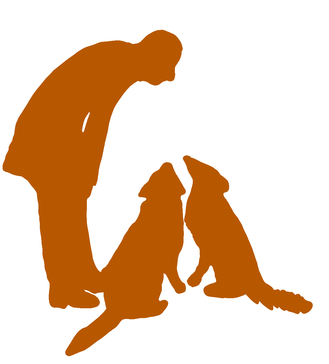 London&rsquo;s Dog Minder dog walker with dogs in North London